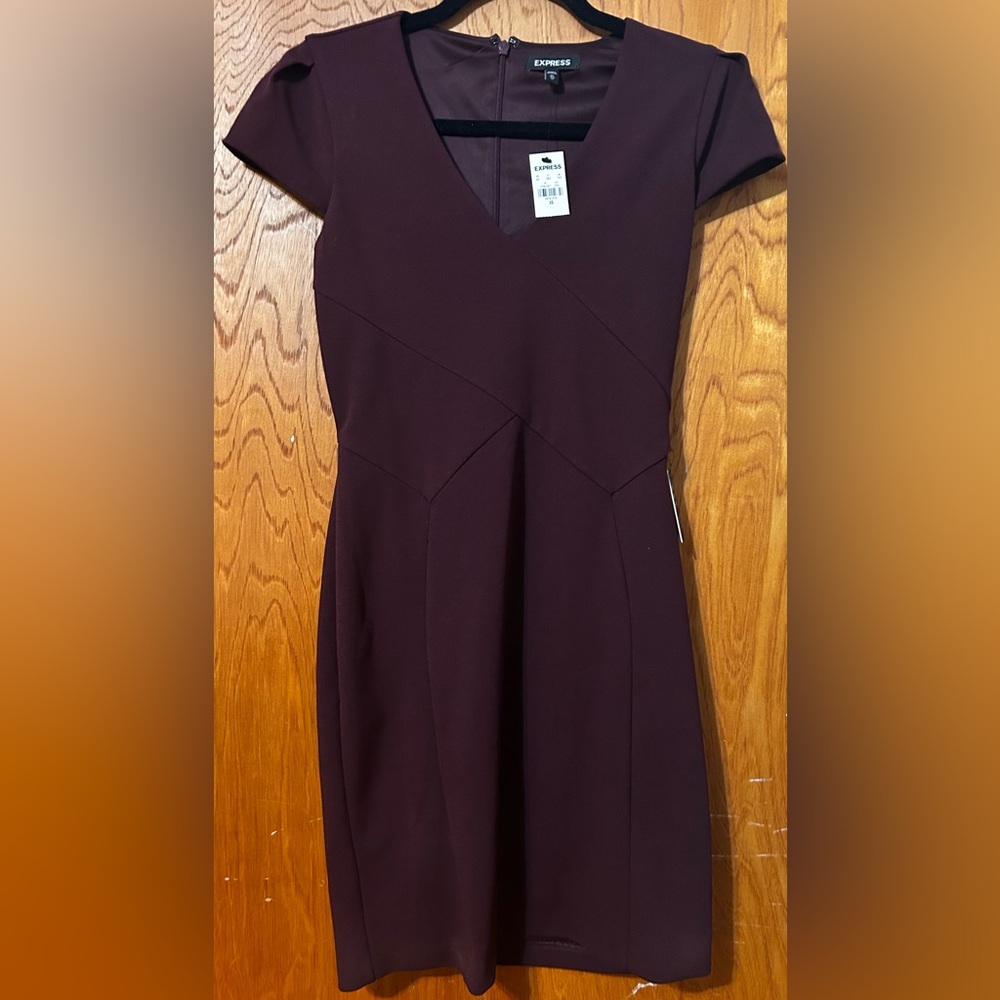 Express Tulip sleeve sheath dress